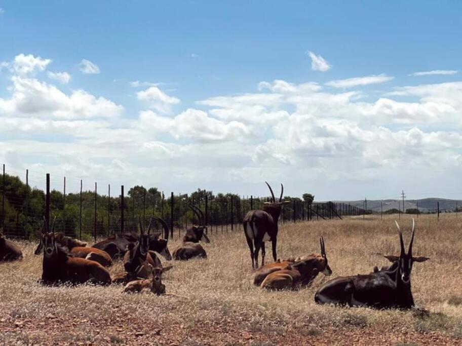 Heron Cottage - Living The Breede Malgas ภายนอก รูปภาพ